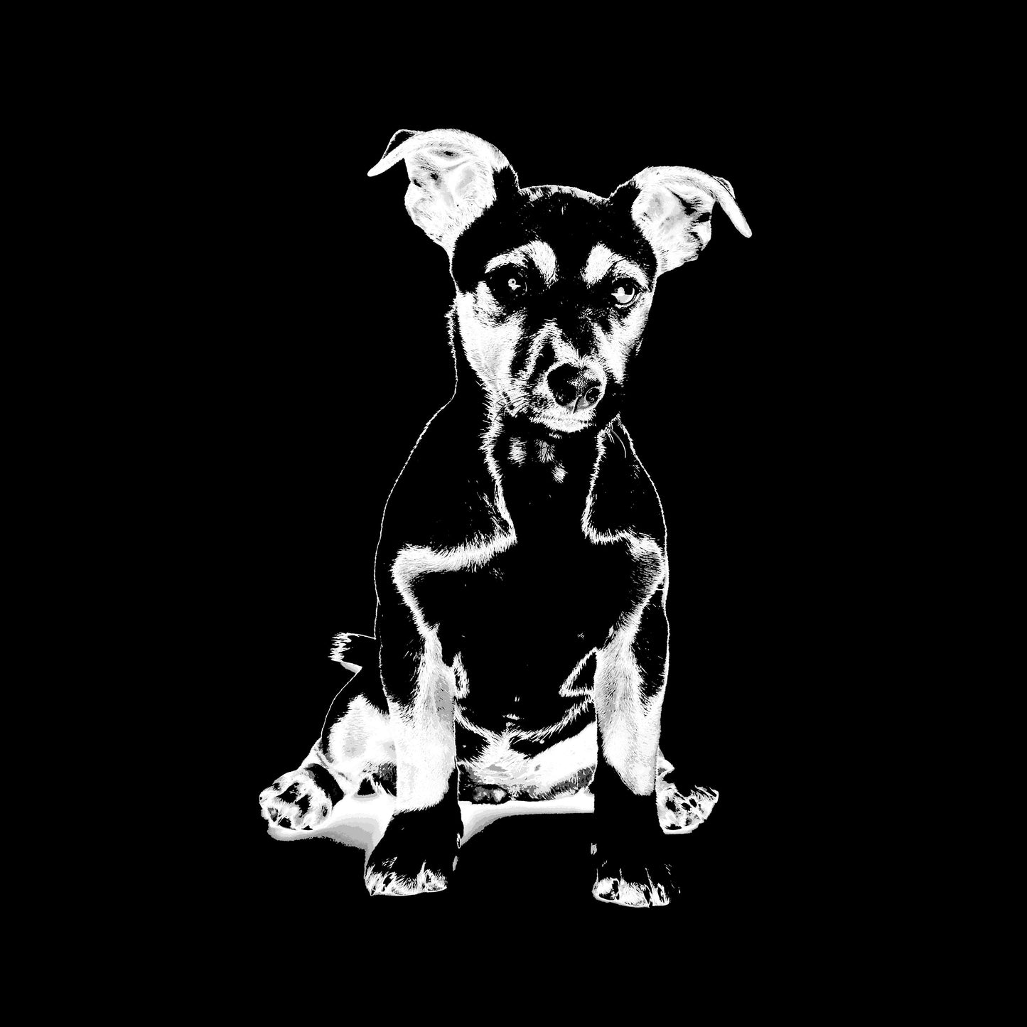 Elevate Your Space with a Jack Russell Puppy-Inspired Cushion (includes poly-fibre pad), two sizes 16" or 20" square.
