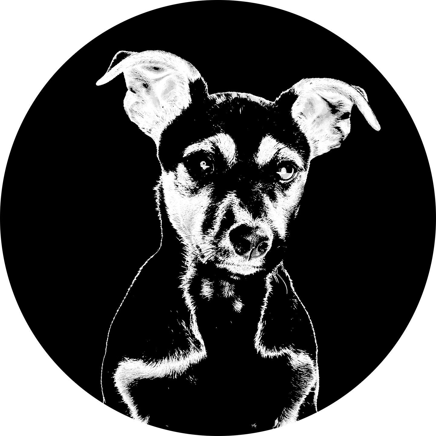 Jack Russell Christmas bauble, bone china, stylish black and white dog design, 65mm diameter, dark red velvet ribbon, Xmas tree decoration.