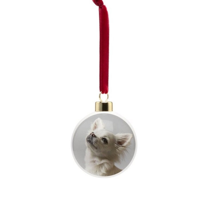 Chihuahua Christmas bauble, bone china, stylish dog design, 65mm diameter, dark red velvet ribbon, unique Christmas tree decoration.