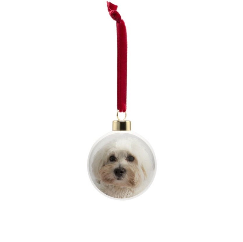 Malti-poo Christmas bauble, bone china, stylish dog design, 65mm diameter, dark red velvet ribbon, unique Christmas tree decoration.