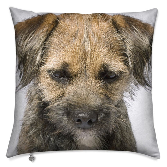 Lux Velvet Dog Cushion Collection: featuring a stunning portrait of a Boarder Terrier puppy, luxurious velvet, two sizes, 16" and 20"