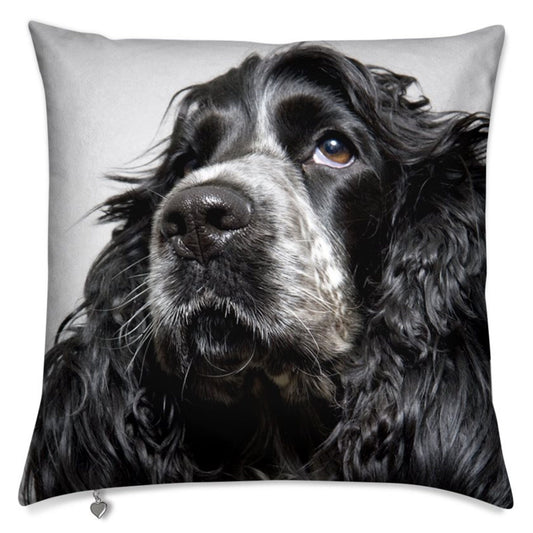 Lux Velvet Dog Cushion Collection: featuring cute puppy dog portraits, luxurious velvet, two sizes, 16" and 20" 6 dog breeds to choose from.