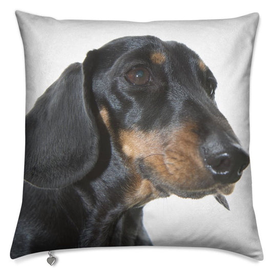 Lux Velvet Dog Cushion Collection: featuring a stunning photographic portrait of a Malti-poo puppy, luxurious velvet, two sizes, 16" and 20"