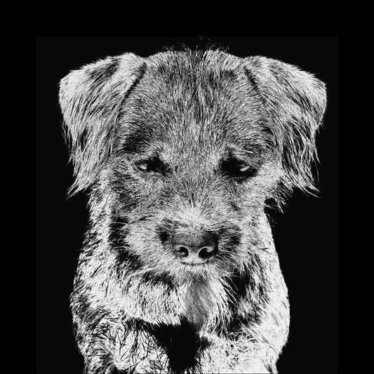 Elevate Your Space with a Terrier dog-Inspired Cushion (includes poly-fibre pad), two sizes 16" or 20" square.