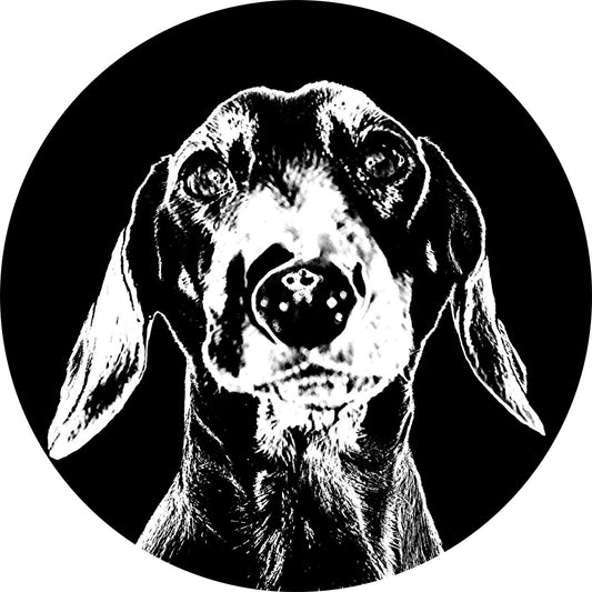 Dachshund Christmas bauble, bone china, stylish black and white dog design, 65mm diameter, dark red velvet ribbon, unique Xmas decoration.